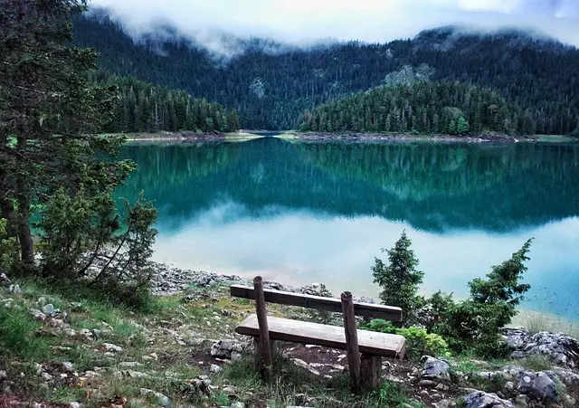 nature